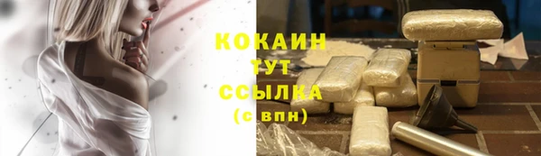 apvp Аркадак