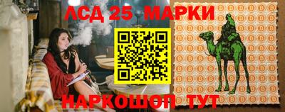 винт Сланцы