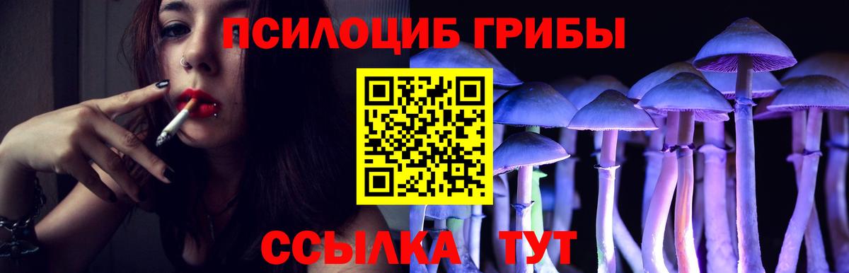 Галлюциногенные грибы MAGIC MUSHROOMS Нарткала