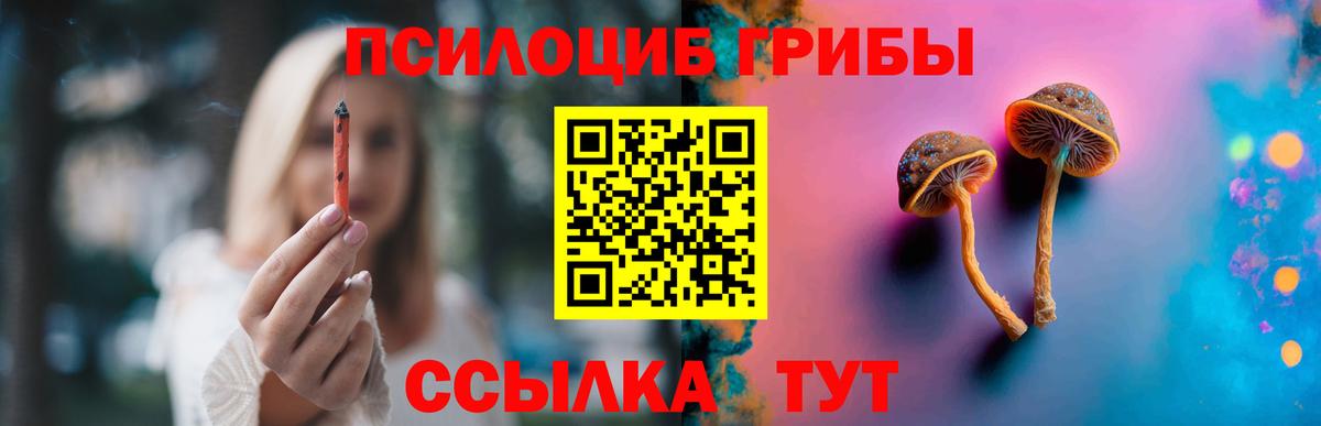 Нарткала  Псилоцибиновые грибы ЛСД  Галлюциногенные грибы MAGIC MUSHROOMS  Вход с VPN 